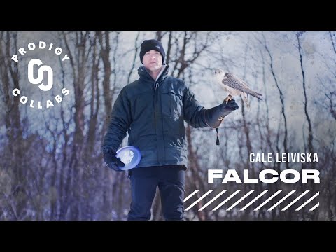 Falcor Cale Leiviska | 400