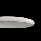 Shogun | Active -Pink-Discmania-166--7073075000773-Bra Kompis